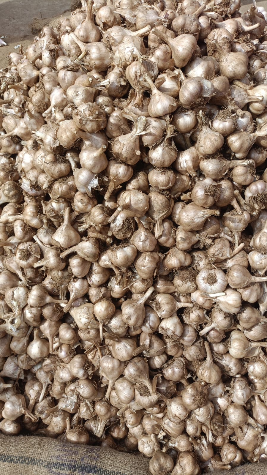Smoked Garlic
