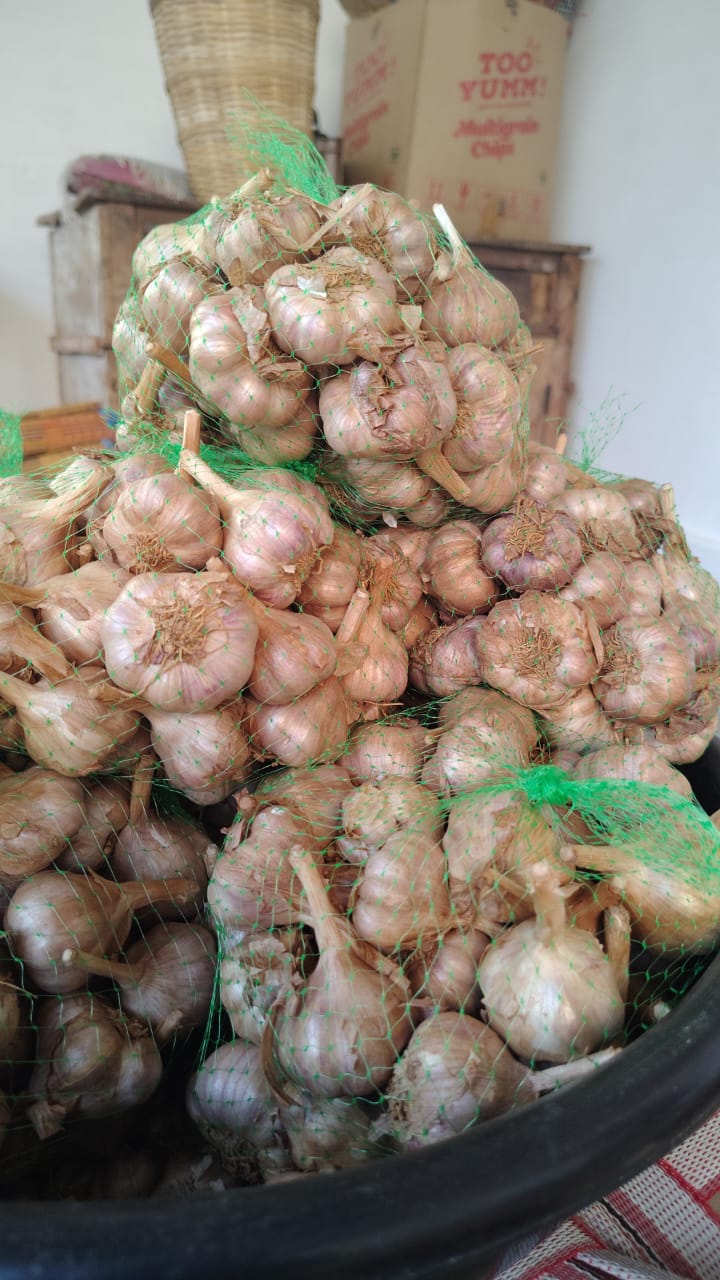 Kodaikanal Hill Garlic